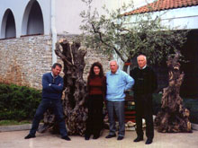 olea 